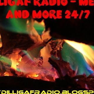 Dilligaf Metalflakes Radio